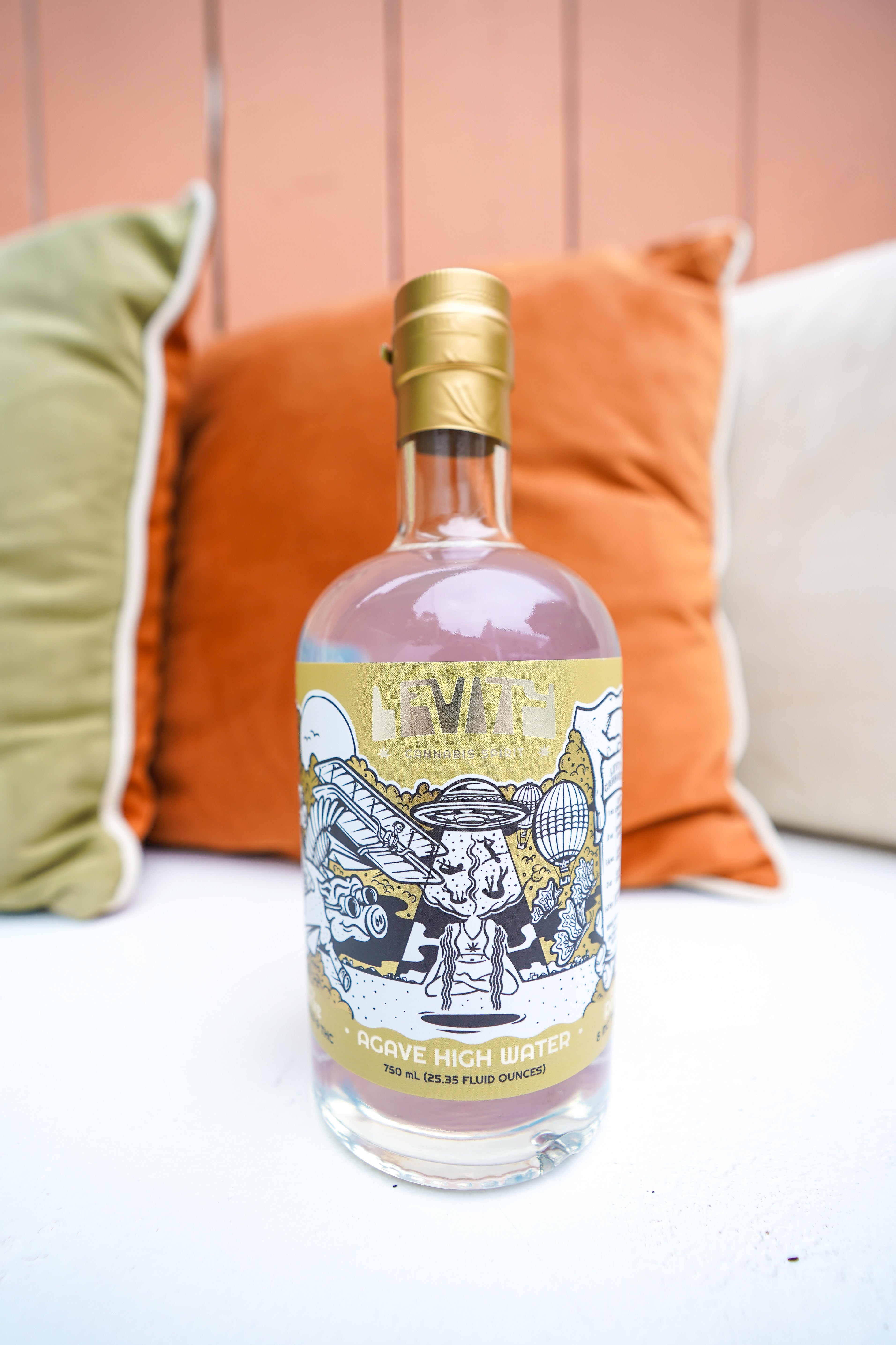 IMG_1176_1.jpg?v=1740401705&